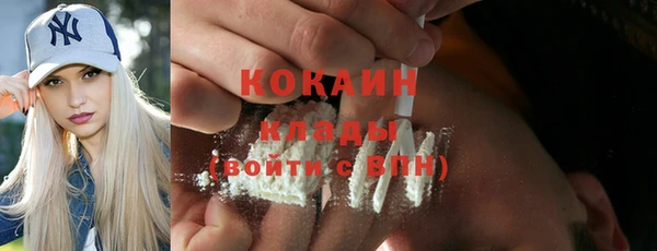 мяу мяу мука Гатчина