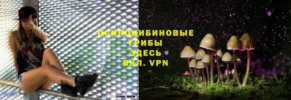 мдма Горняк