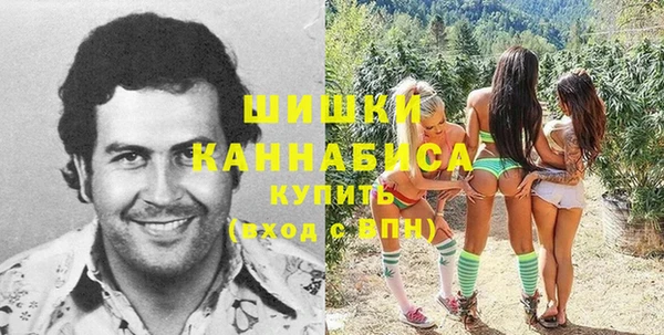 первитин Горнозаводск